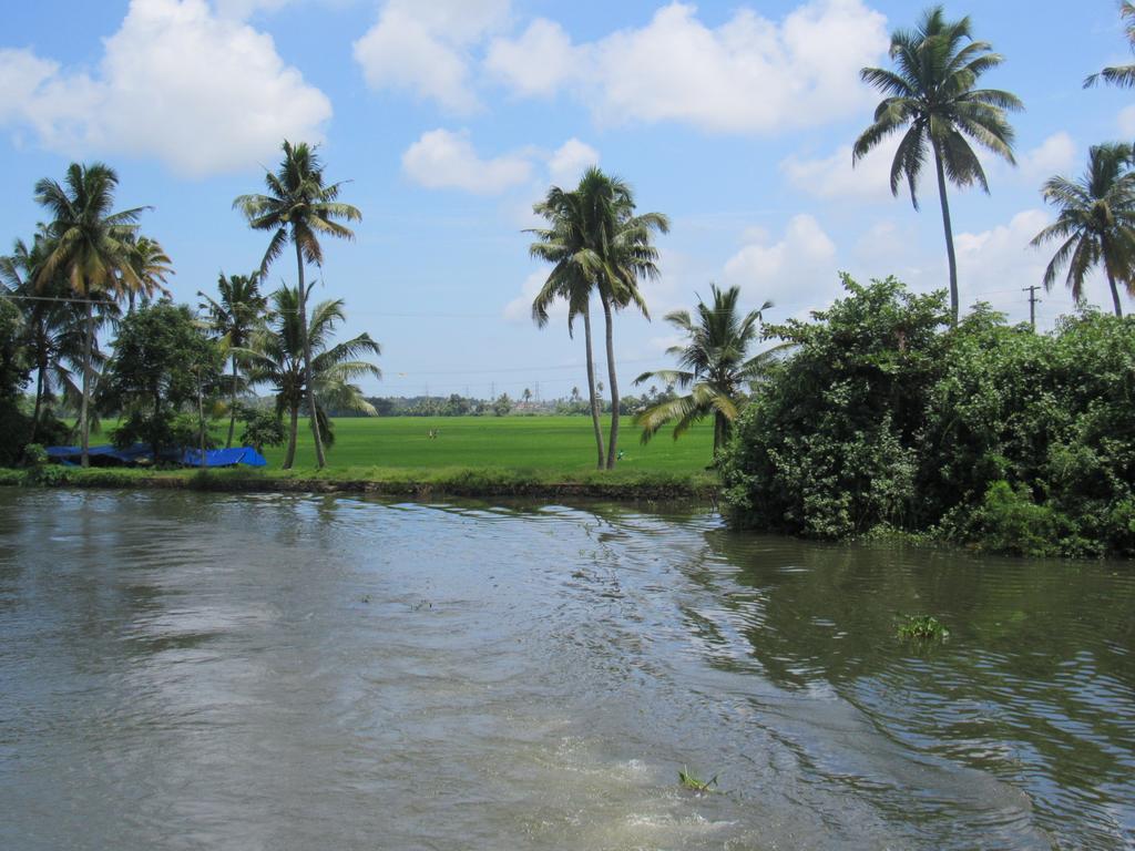 มารารีดรีมซ์เบดแอนด์เบรคฟาสต์ Villa Alappuzha ห้อง รูปภาพ