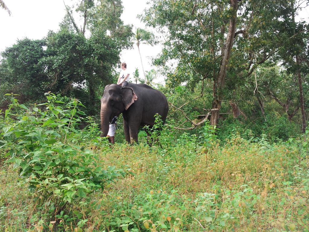 มารารีดรีมซ์เบดแอนด์เบรคฟาสต์ Villa Alappuzha ห้อง รูปภาพ