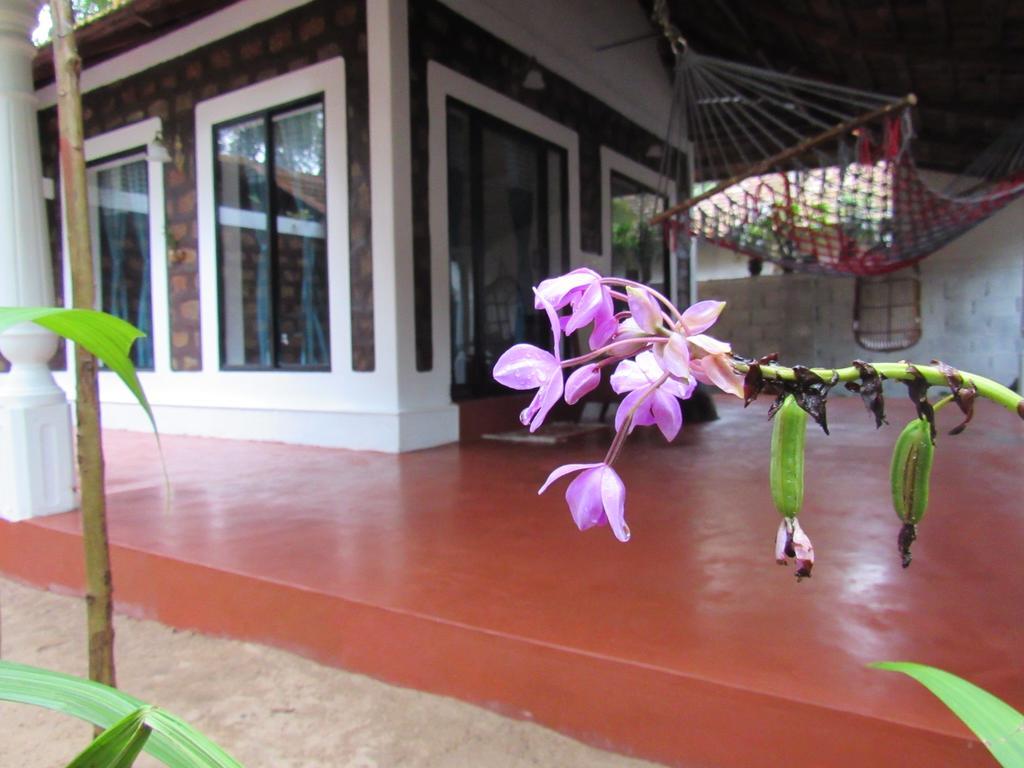 มารารีดรีมซ์เบดแอนด์เบรคฟาสต์ Villa Alappuzha ภายนอก รูปภาพ